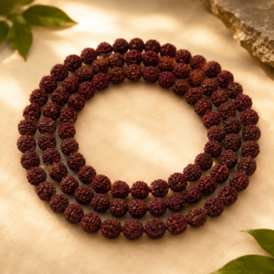 Premium 16mm <br>Rudraksha Mala